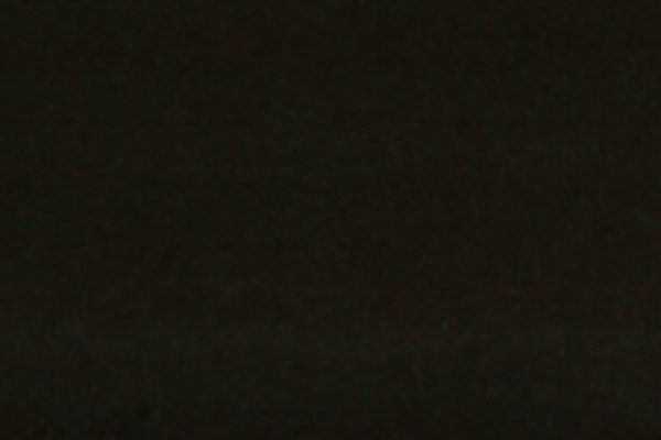 Franz-Bauer-Wd8-0244.jpg